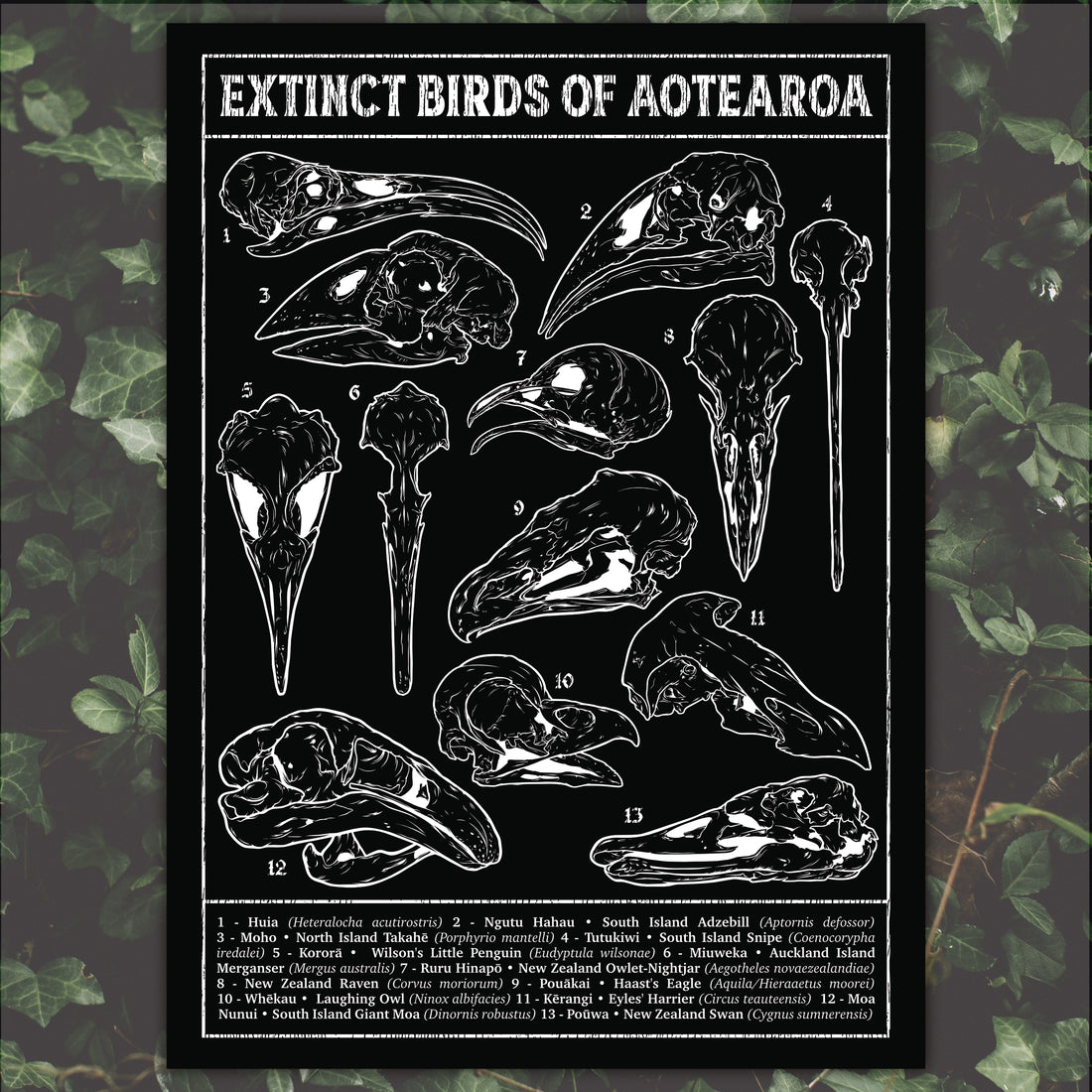Aotearoa Aeternum • A2 Poster