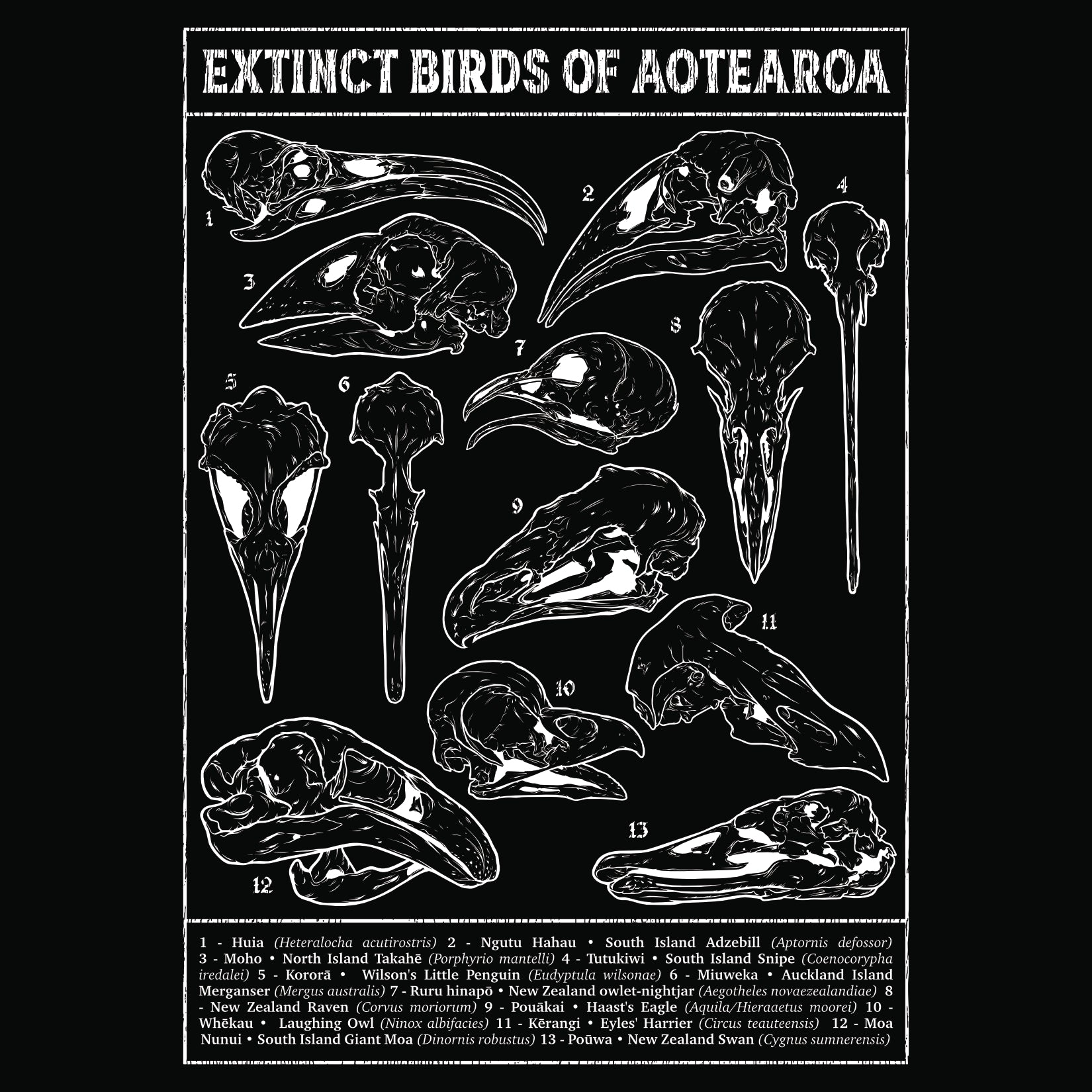 Aotearoa Aeternum • Extinct Bird Skulls Hoodie