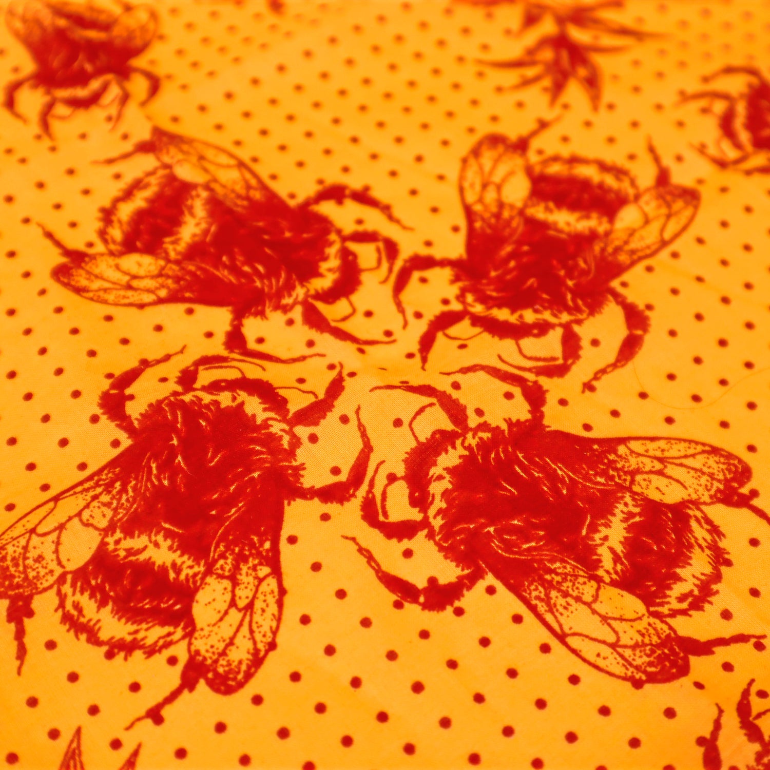 The Honeybee Bandana