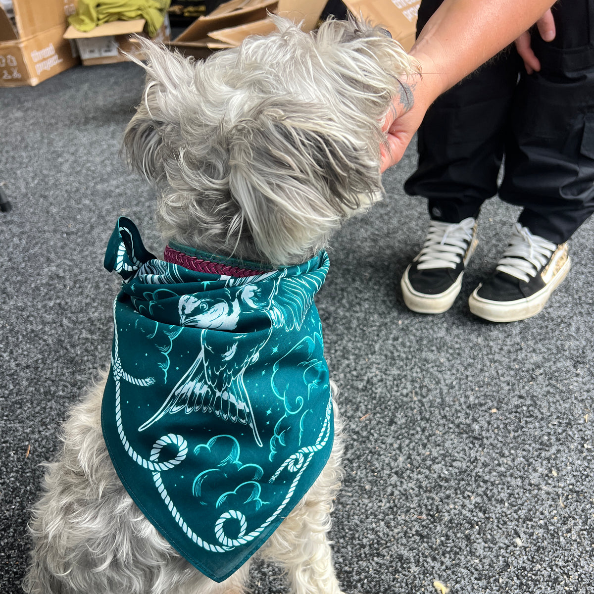 Welcome Swallows Twilight Sailor Bandana