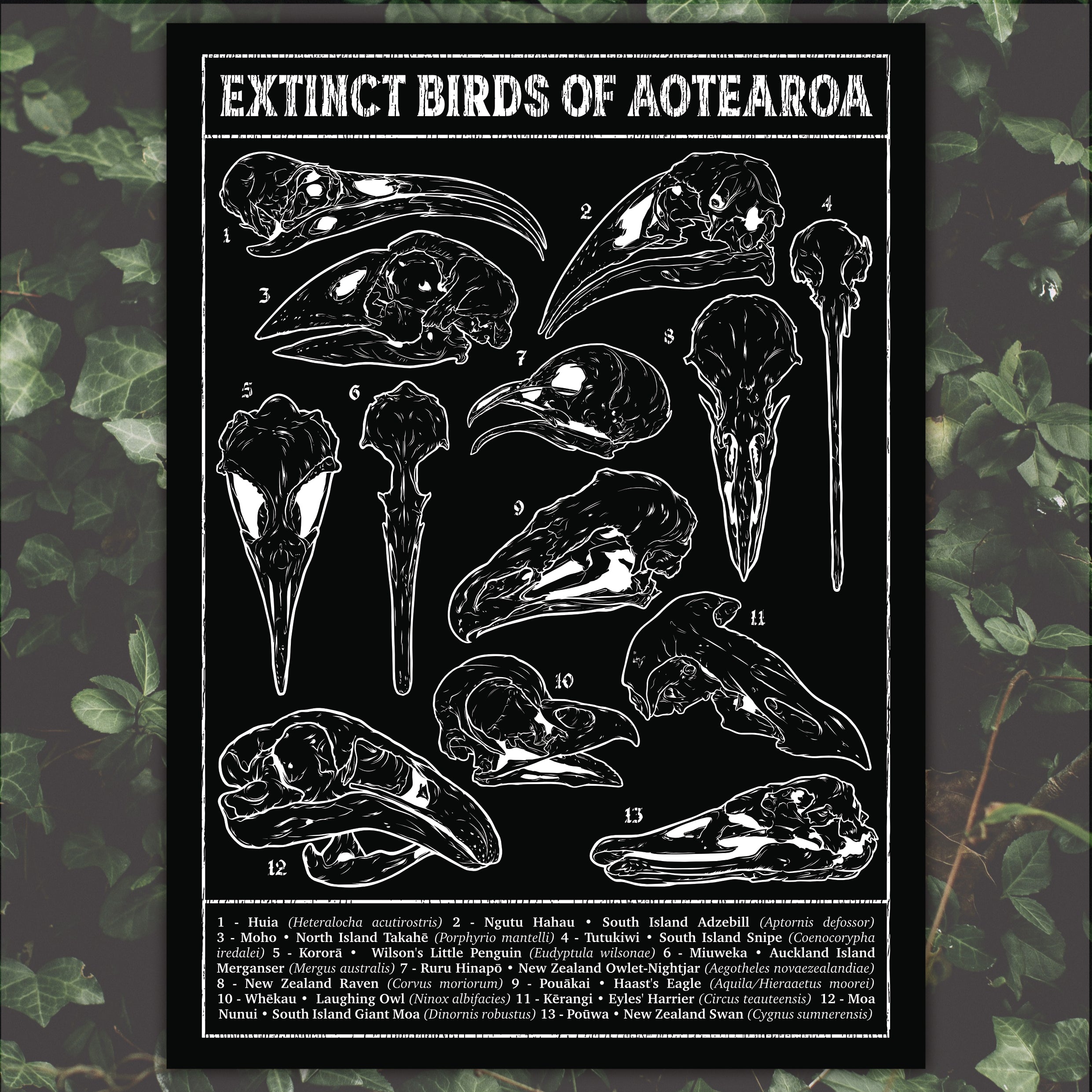 Aotearoa Aeternum • A2 Poster