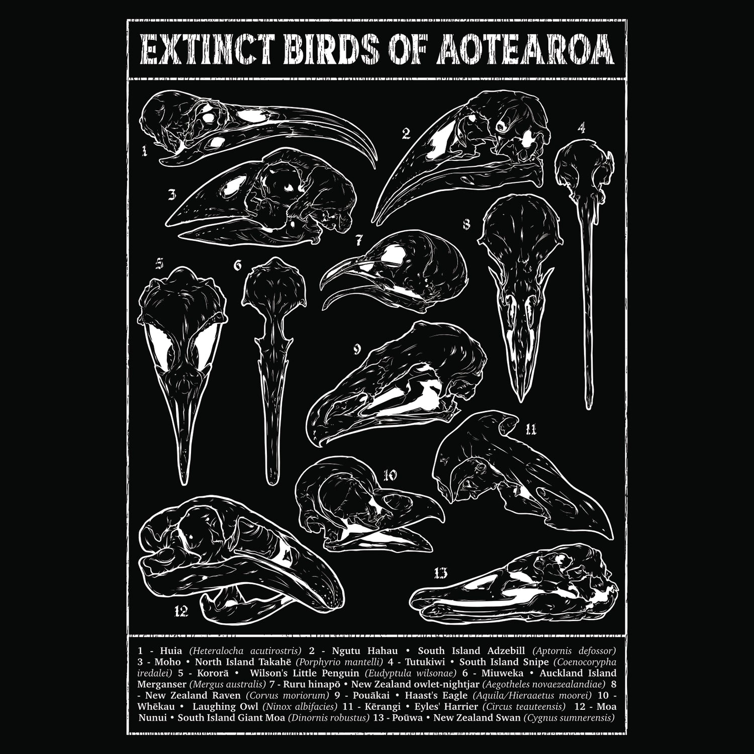 Aotearoa Aeternum • Extinct Bird Skulls Hoodie
