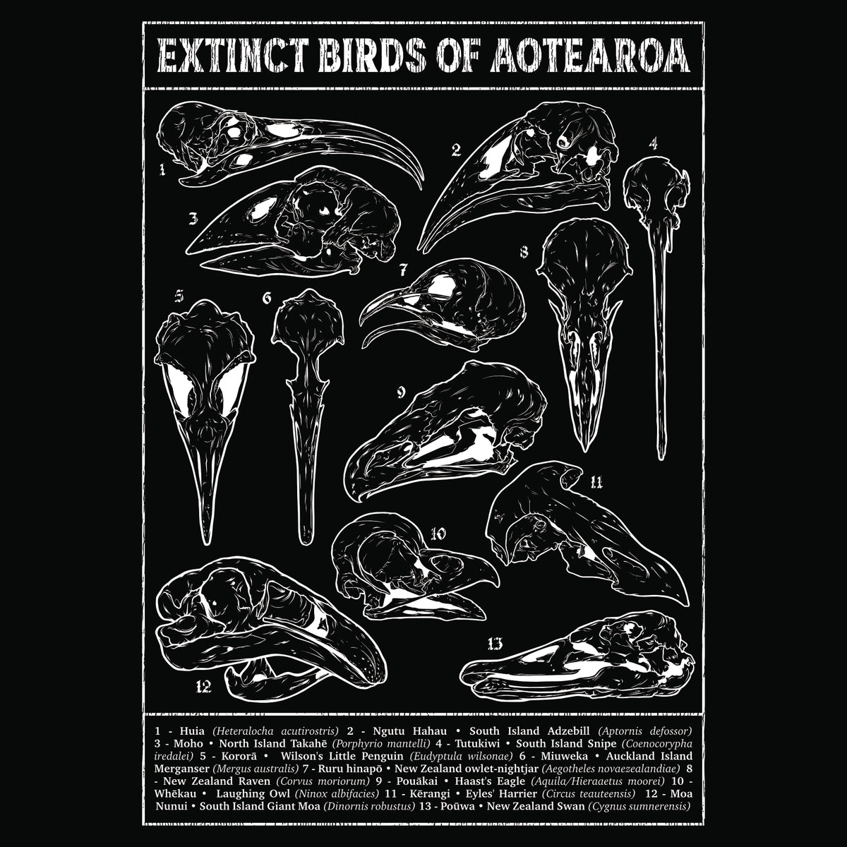 Aotearoa Aeternum • Long-Sleeve Tee