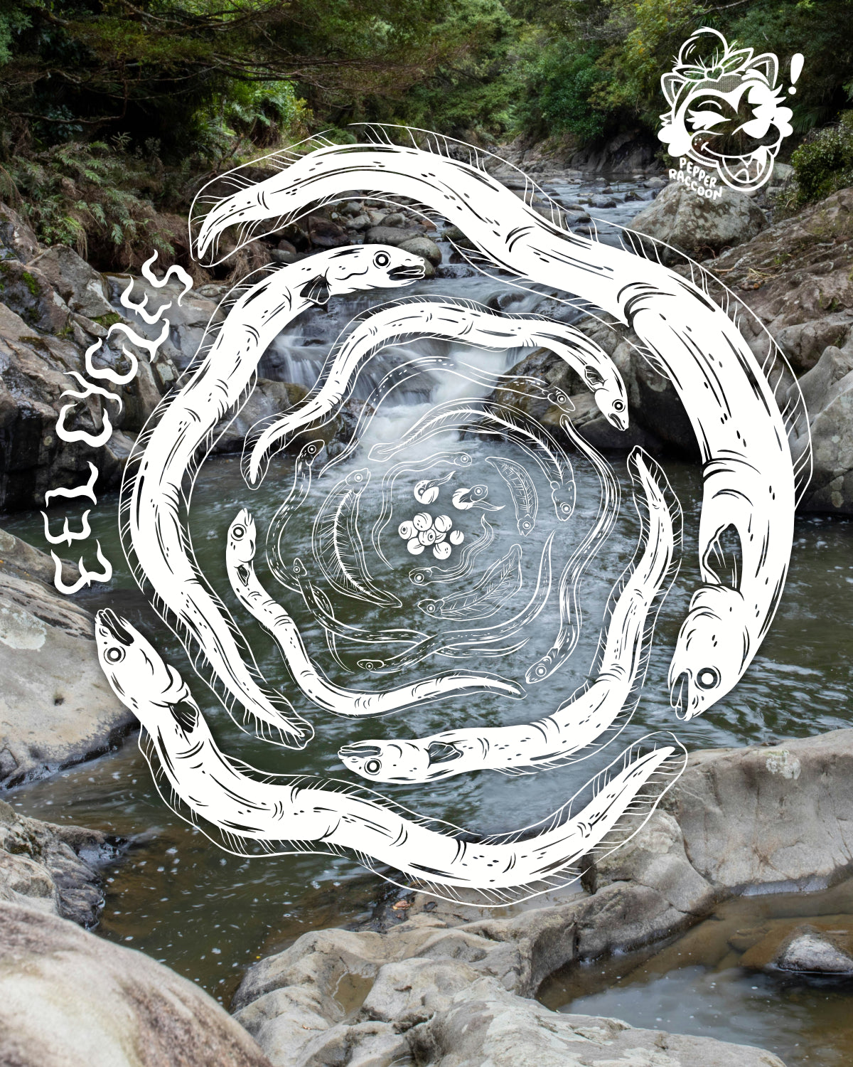 Eel Cycles T-Shirt
