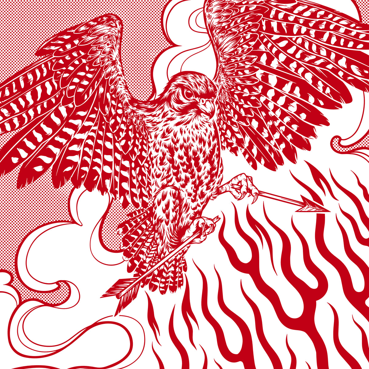 Kārearea T-Shirt • Nature Reigns Eternal