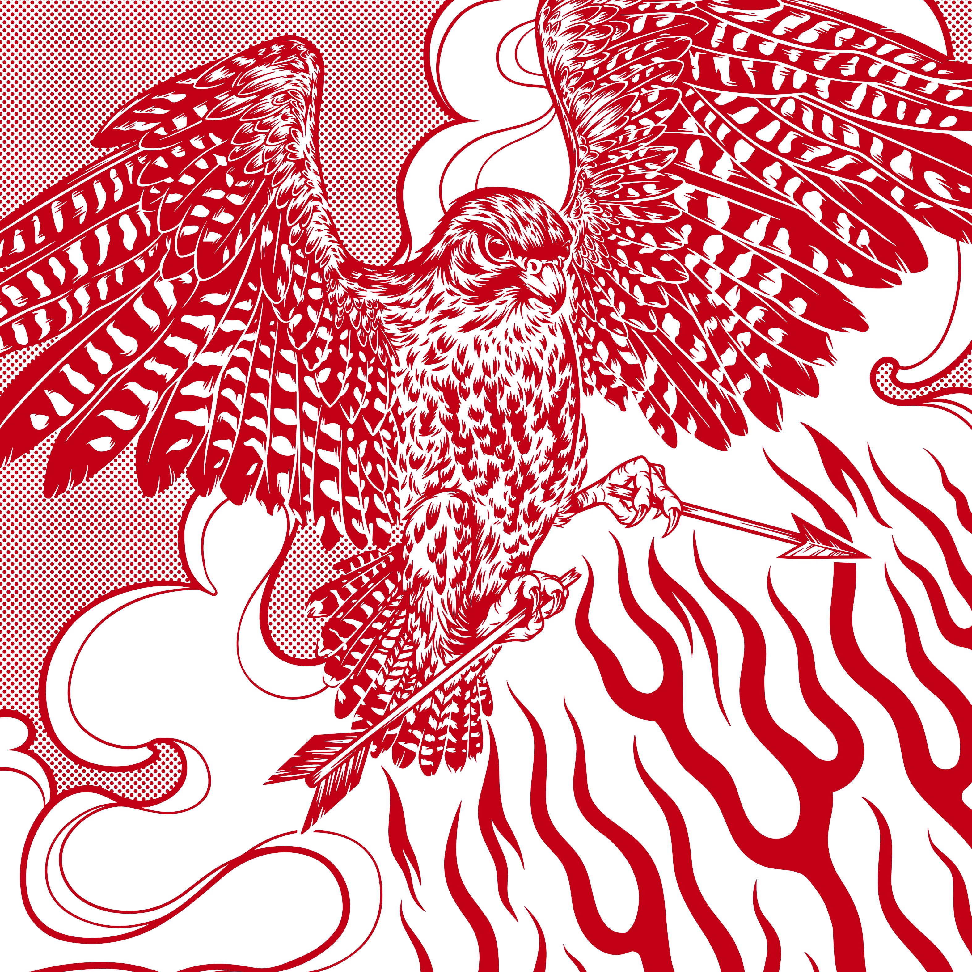 Kārearea T-Shirt • Nature Reigns Eternal