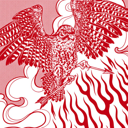 Kārearea T-Shirt • Nature Reigns Eternal