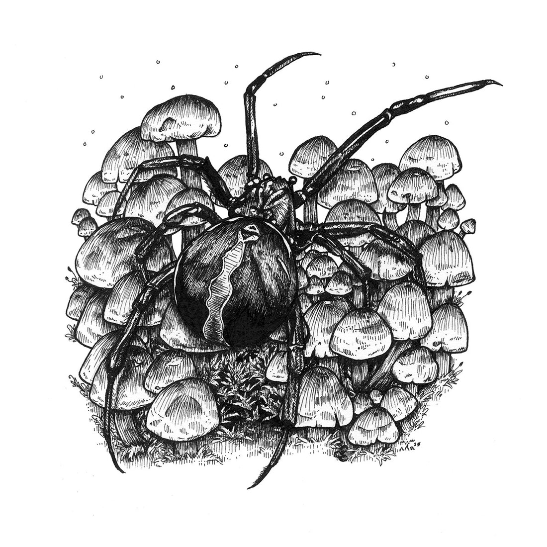 6&quot; Katipō Spider &amp; Sulphur Tufts