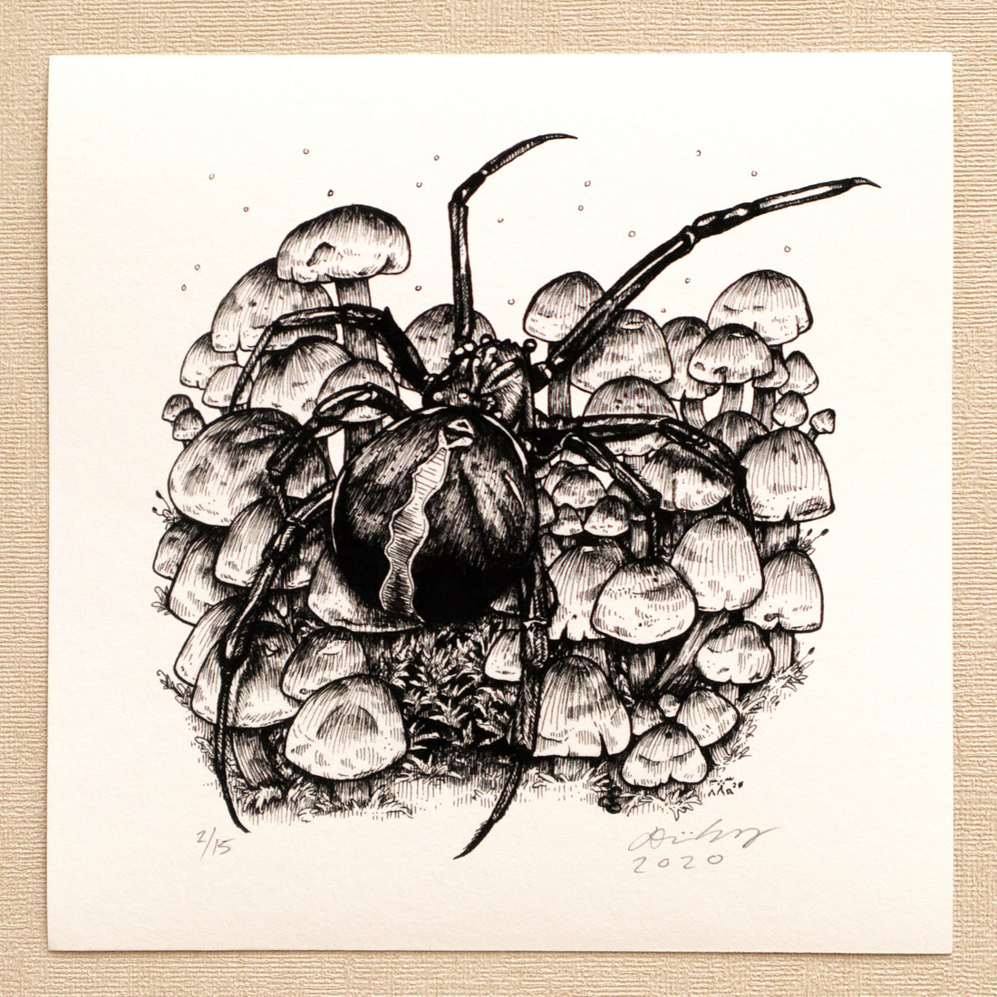 6&quot; Katipō Spider &amp; Sulphur Tufts