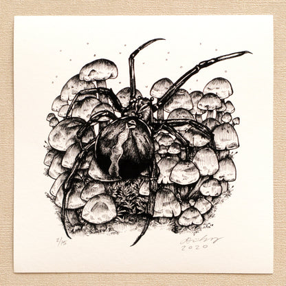 6&quot; Katipō Spider &amp; Sulphur Tufts
